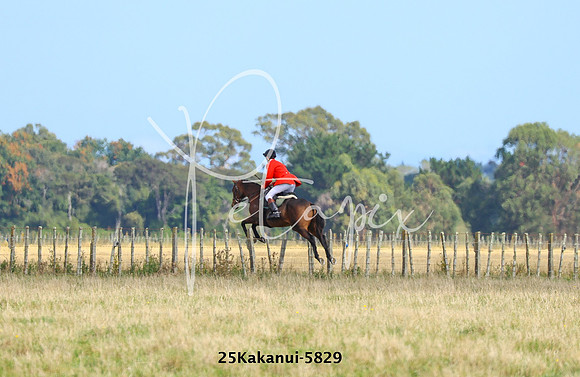 25Kakanui-5829