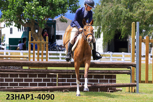 23HAP1-4090