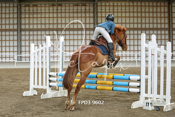 FPD3-9602