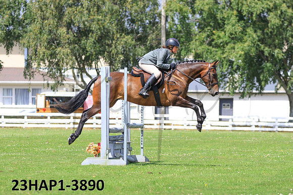 23HAP1-3890