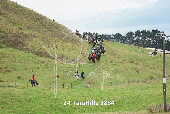 24 TaraHills-3884