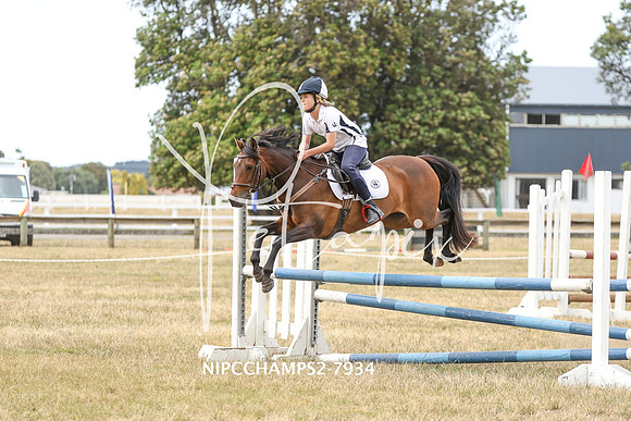 NIPCCHAMPS2-7934
