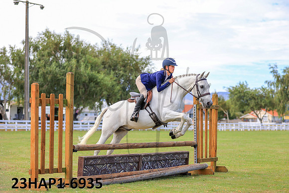 23HAP1-6935