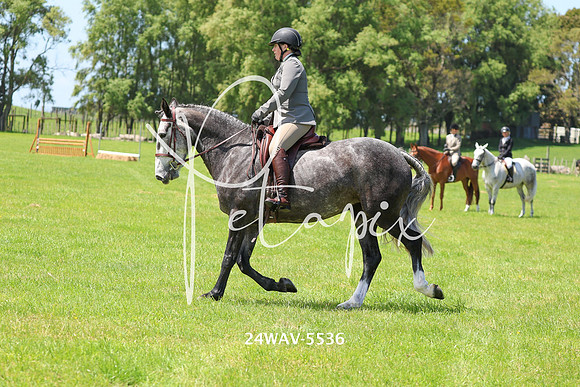 24WAV-5536