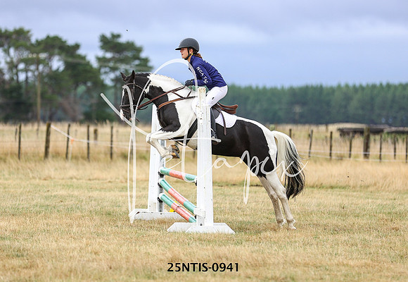 25NTIS-0941